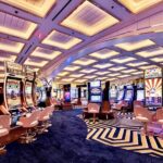 Inside the Mind of a High Roller: The Psychology of Risk and Reward